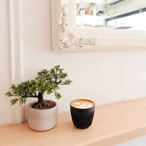 Single Use Cups Are Phasing Out And you Have a Choice Single Use Cups Are Phasing Out And you Have a Choice