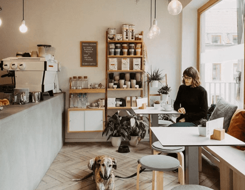 The Ultimate Guide to Zero-Waste Coffee Cups and Accessories You Need Today The Ultimate Guide to Zero-Waste Coffee Cups and Accessories You Need Today